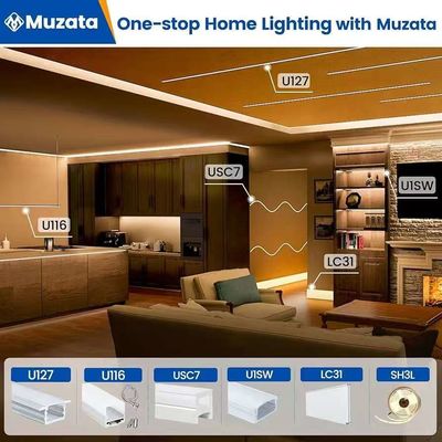 Dış Su geçirmez 12/24V Silikon LED Işık Çubuğu Ev Dekoru Neon LED Çubuğu Işıklar Beyaz 16.4ft/5m Neon Işık Çubuğu 12V Silikon Su geçirmez Esnek LED Neon İp Işıkları Yatak Odası Festivali için